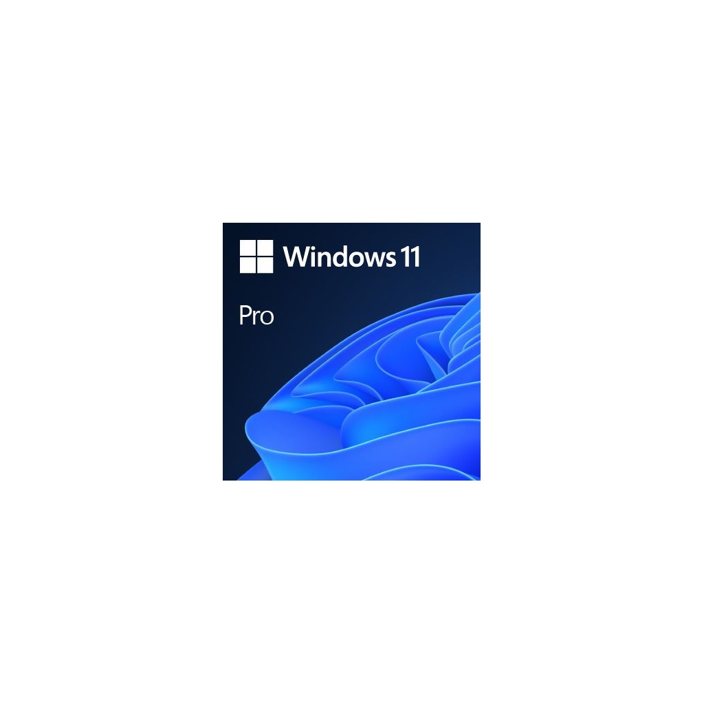 DSP Windows 11 Pro Eng 64-bit, FQC-10528