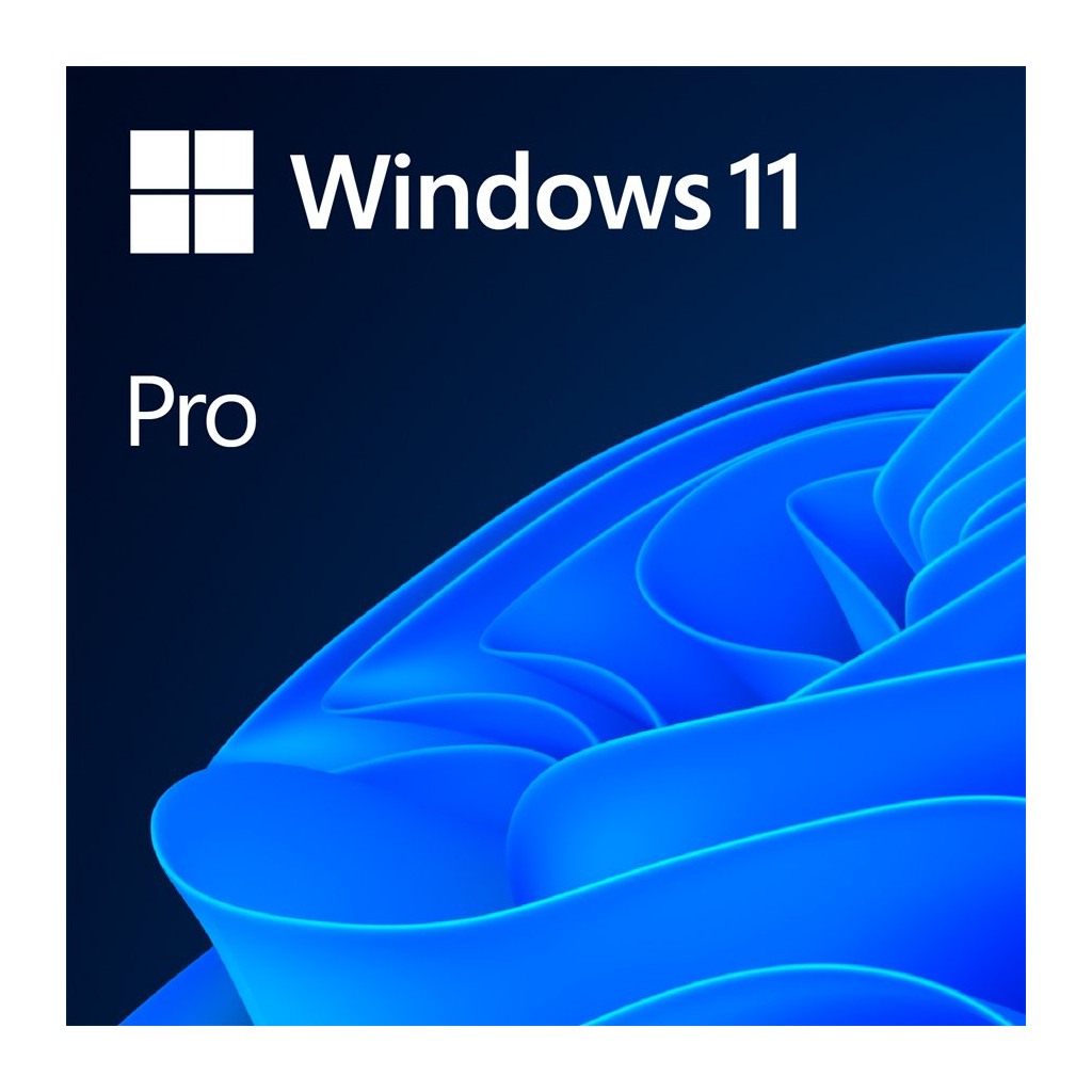 Windows 11 Professional 64Bit English Intl 1pk DSP OEI DVD