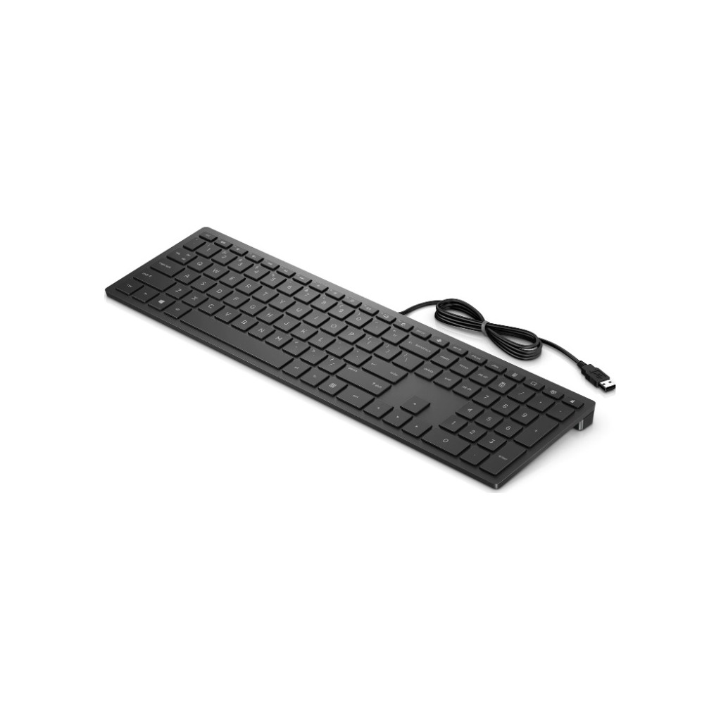 HP PAV Wired Keyboard 300 ADRHP PAV Wired Keyboard 300HP PAV Wired Keyboard 300 tastatura