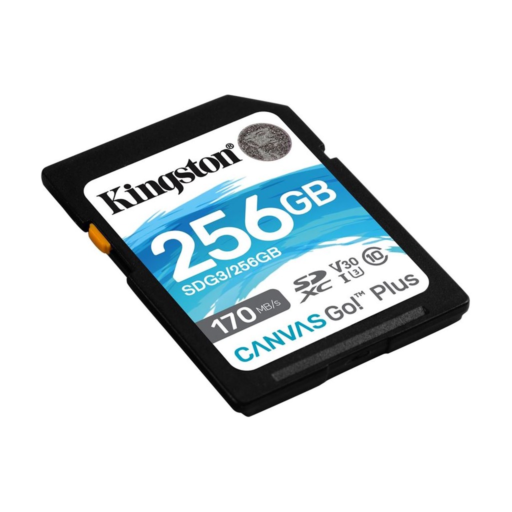 MEM SD 256GB Canvas GO Plus KIN